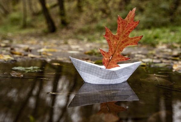 autumn leaf boat
