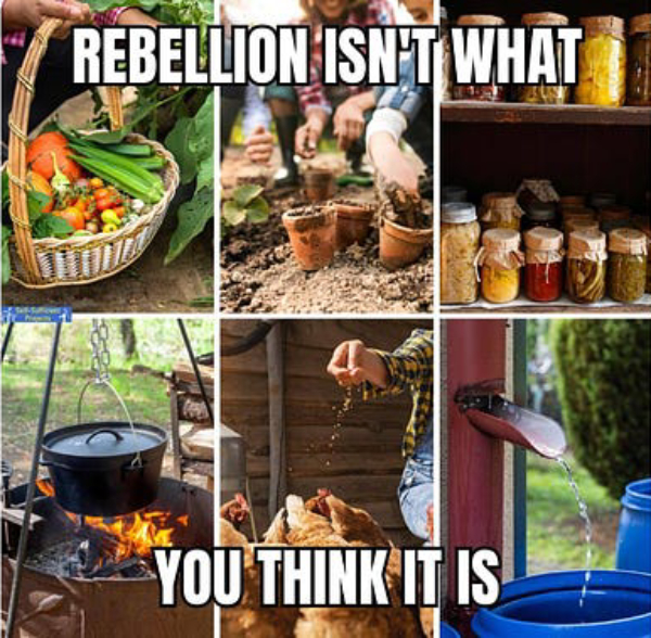 rebellion is food