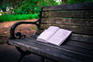 book on park bench