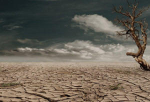 drought landscape