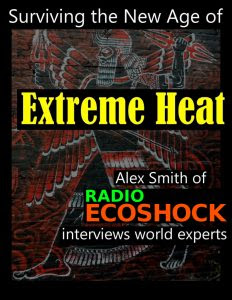 Extreme Heat book cover