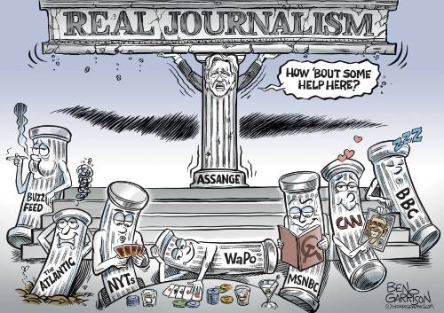 Assange real journalism cartoon