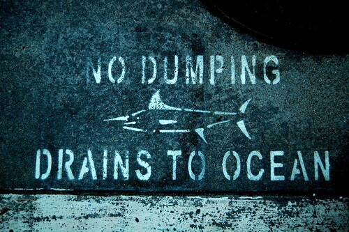 No Dumping, Drains to Ocean
