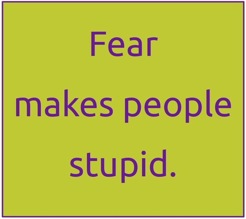 Fear makes stupid