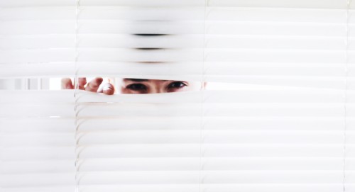 spying behind blinds
