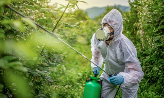 Insecticide spraying