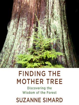 finding the mother tree 2