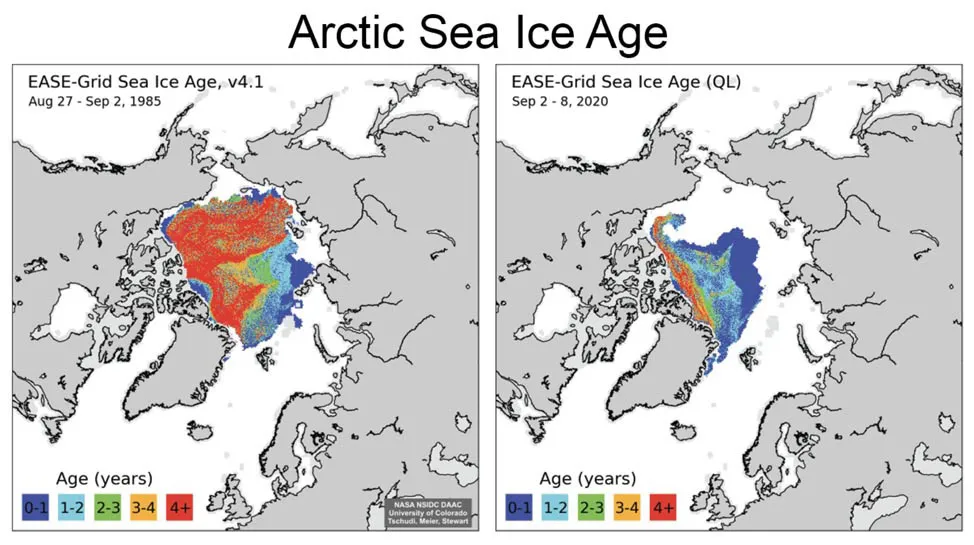 1220 Fig5 arctic sea ice age