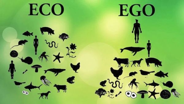 Eco v Ego