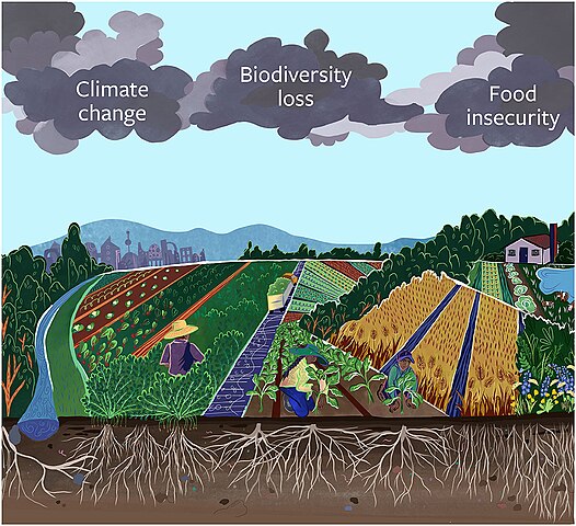 Anthropocene triple threat