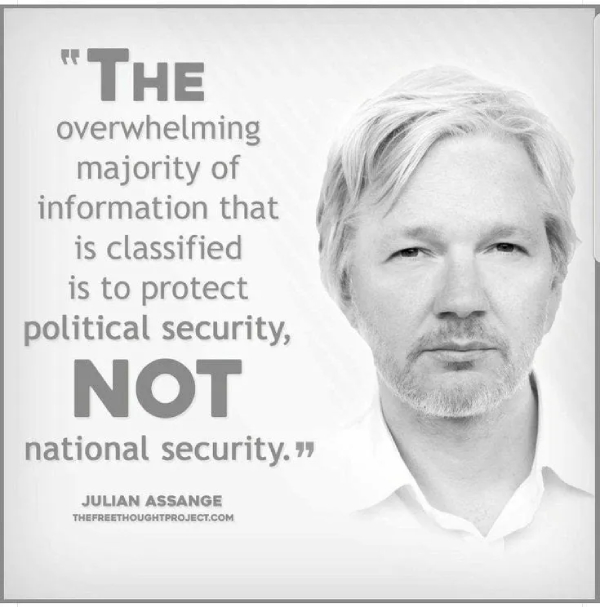 Assange political security