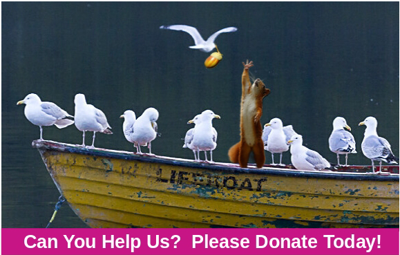 Can You Help, Please?  Donate Today!