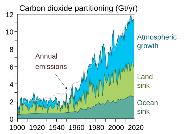 Carbon Dioxide Partitioning Wikimedia