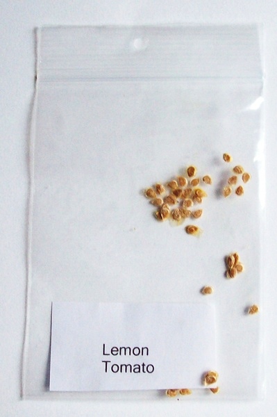 Lemon tomato seeds bagged