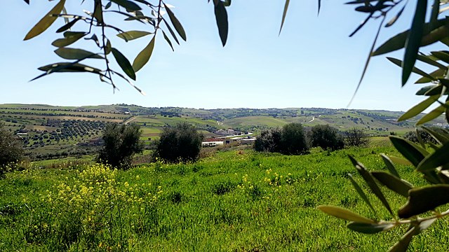 Algerian countryside