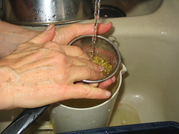 rinsing seeds best