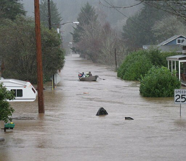 Flood Mapleton, OR Jan 19, 2012