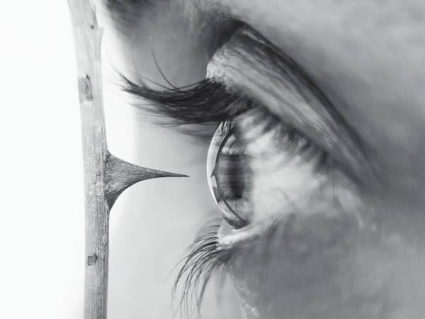 eye looking at thorn