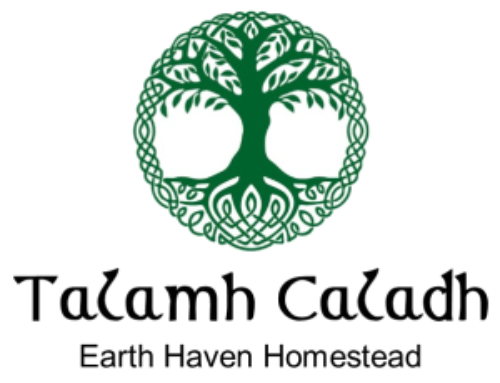 Talamh Caladh