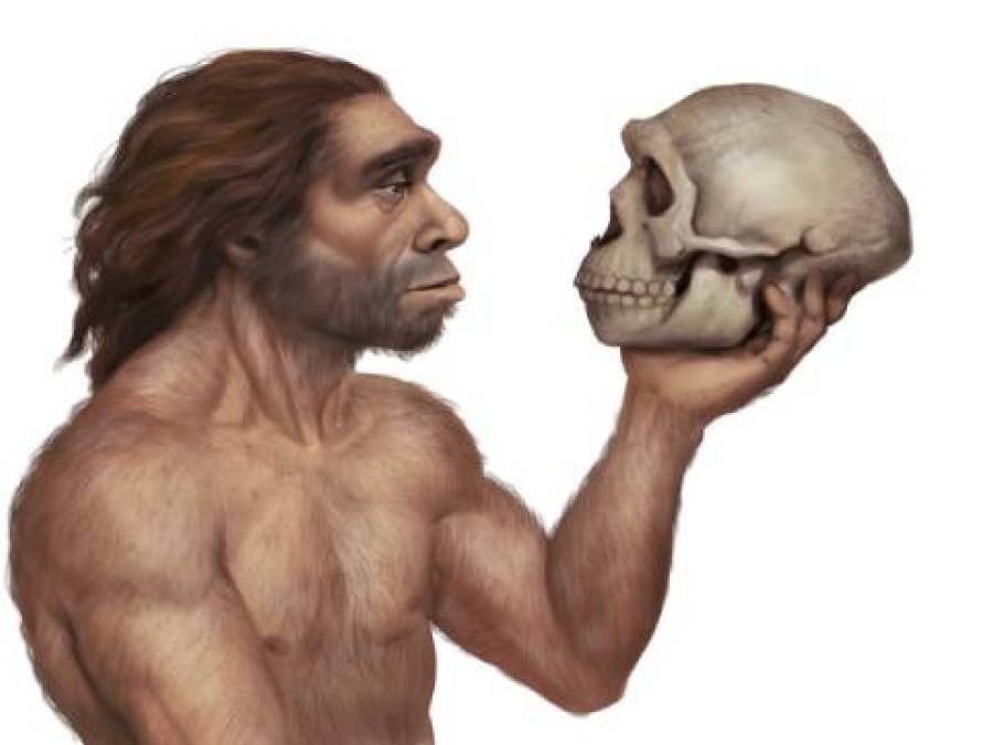 Science Snippets: The Ninth (Probably) and Final Species of Human