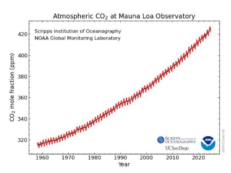 Beyond CO2: The Immortals