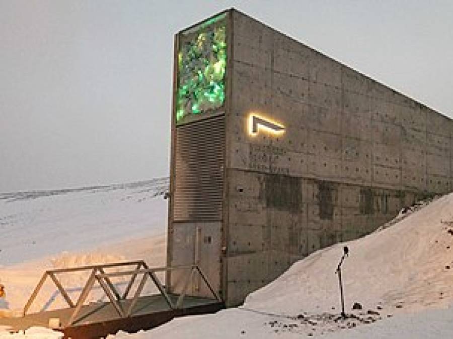 Arctic Seed Vault Reveals Flaws of Climate Adaptation