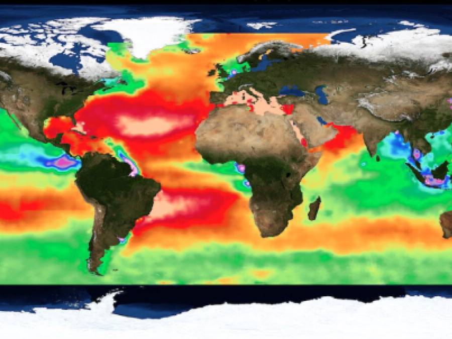 Earth Is Close to Passing 7 of 9 Planetary Boundaries, Report Says