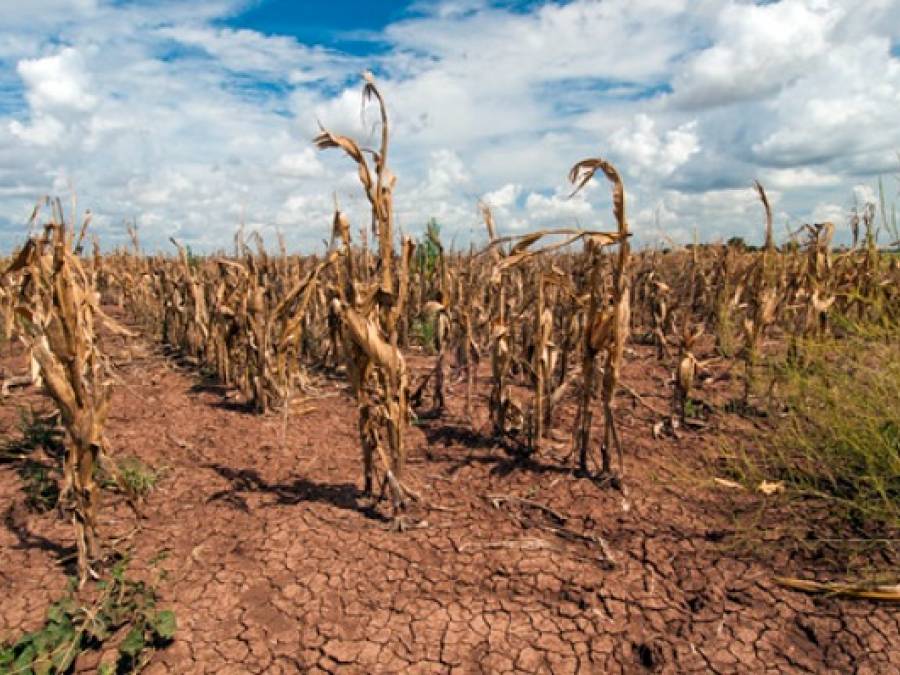 Three-Quarters of the World's Land is Drying Out