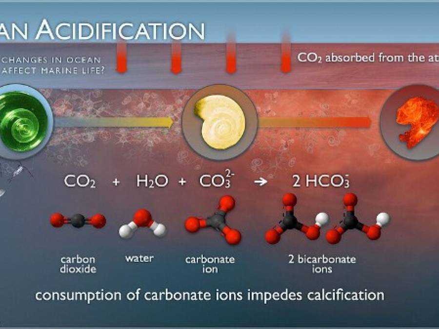 Science Snippets: Priorities, Redux