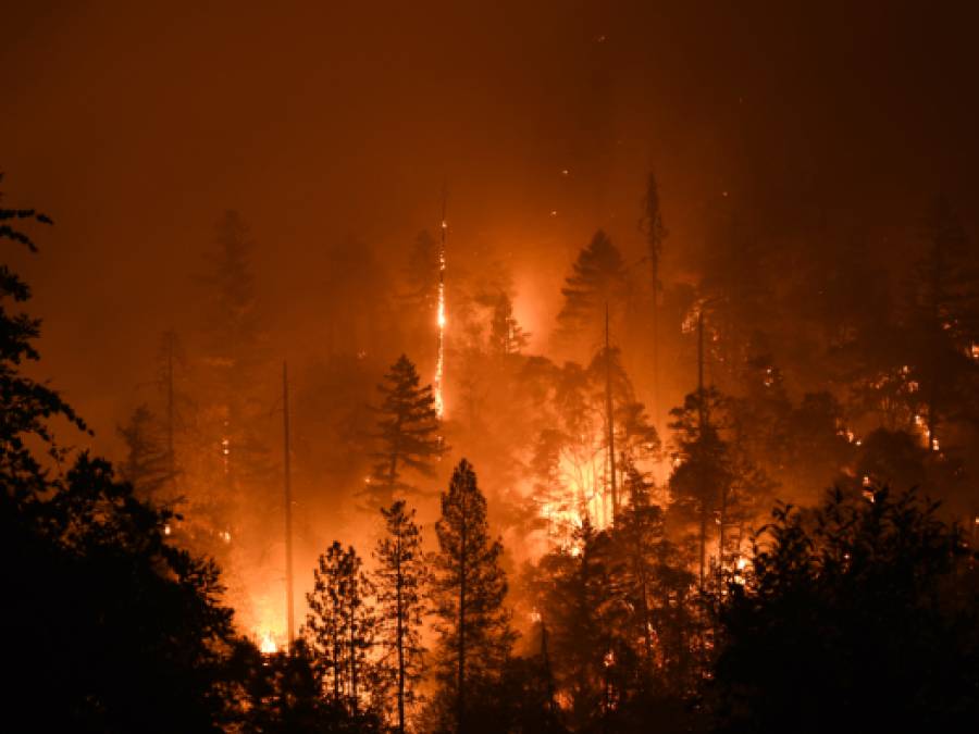 NOAA Will Stop Tracking Costs of Climate Crisis-Fueled Disasters in Wake of Trump Cuts