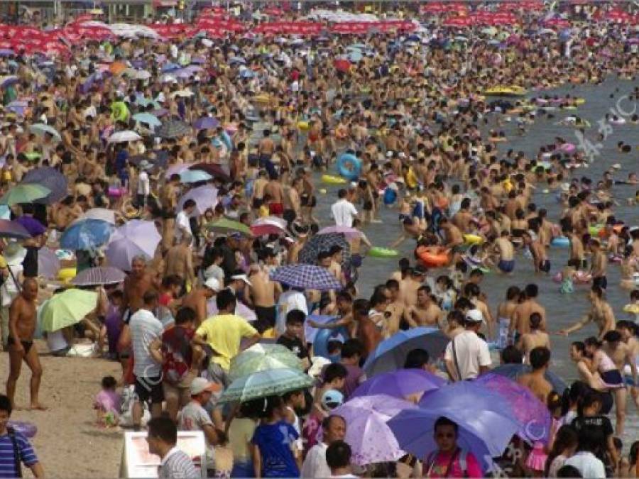 Deep Green Video: Tell The Truth