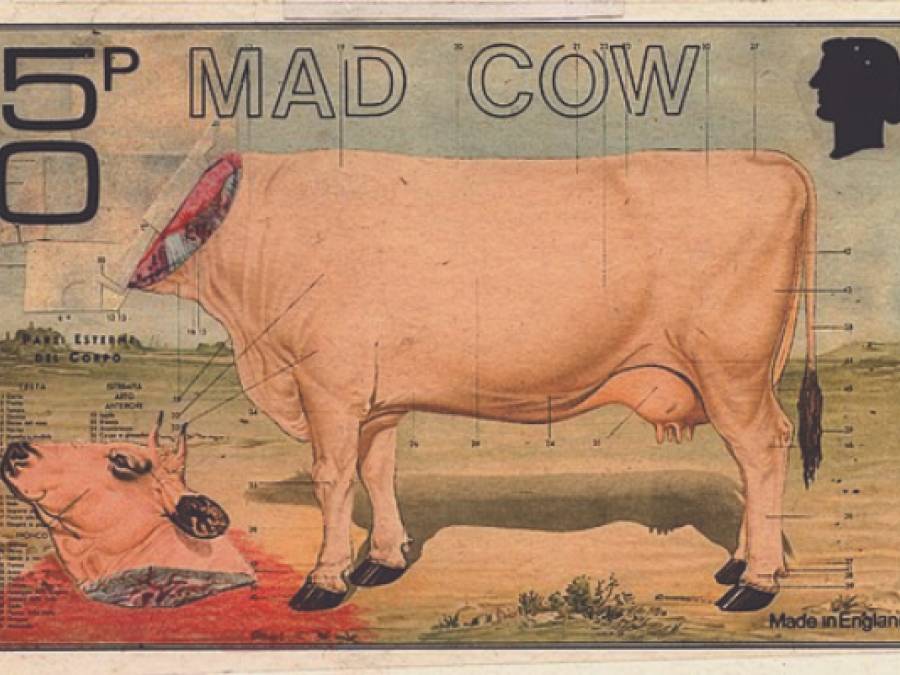 The Ideology of Artificial Intelligence