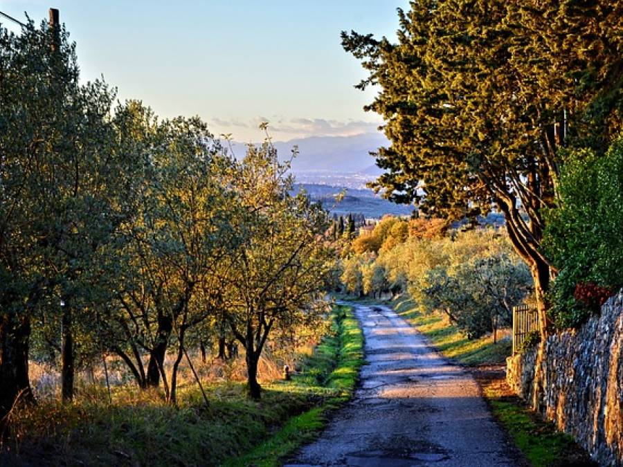 Leave the City While You Still Can! 