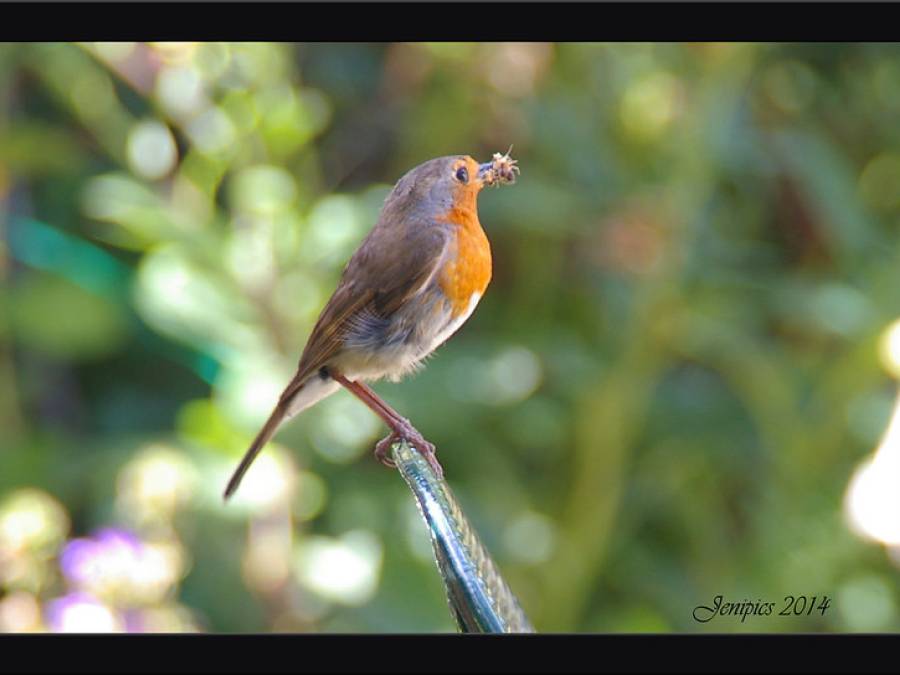 There Will Come Soft Rains