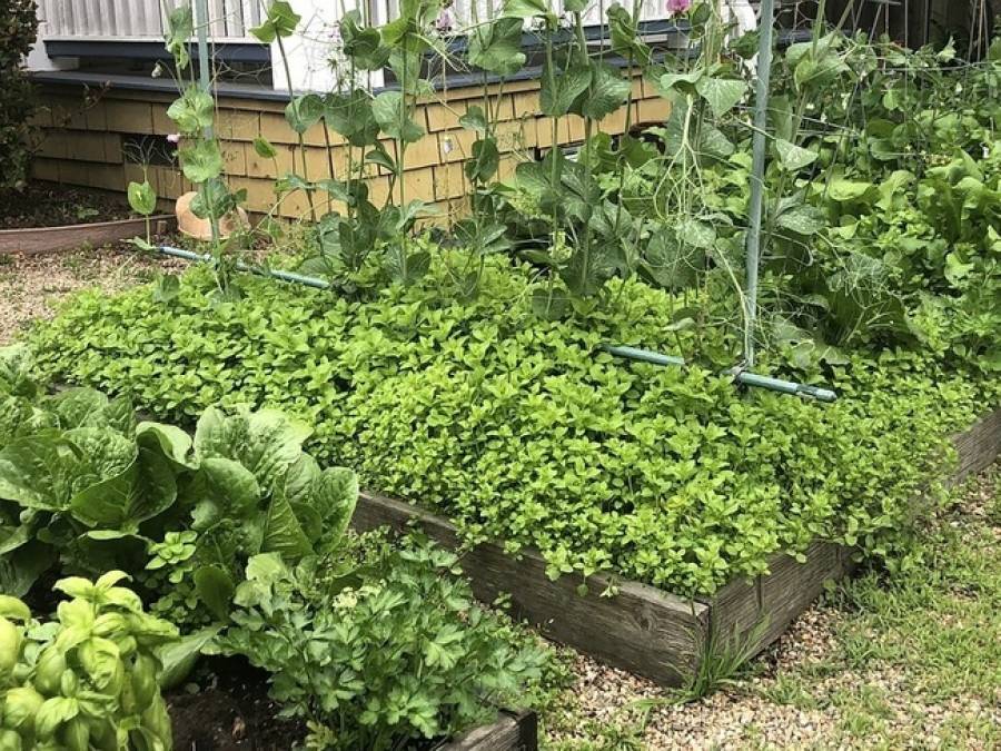 What Have I Done to Prepare for the Coming Times?