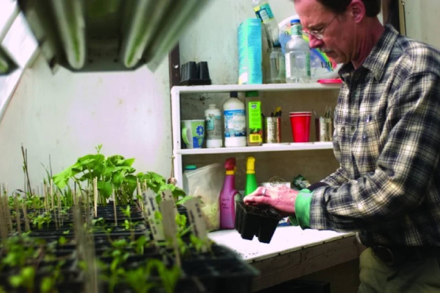 Permaculture *