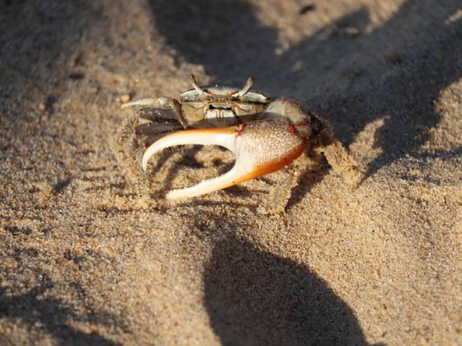 Science Snippets: Don't Mess with Mother Nature