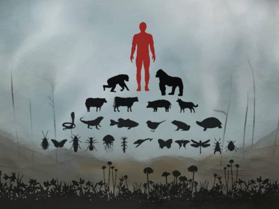 Resources and Anthropocentrism