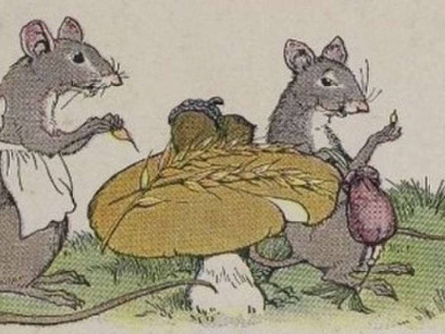 The Town Mouse & the Country Mouse